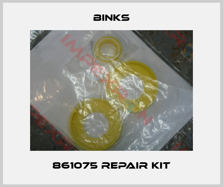 Binks-861075 Repair Kit