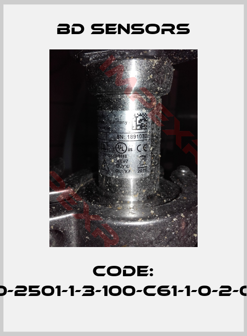 Bd Sensors-Code: 500-2501-1-3-100-C61-1-0-2-000