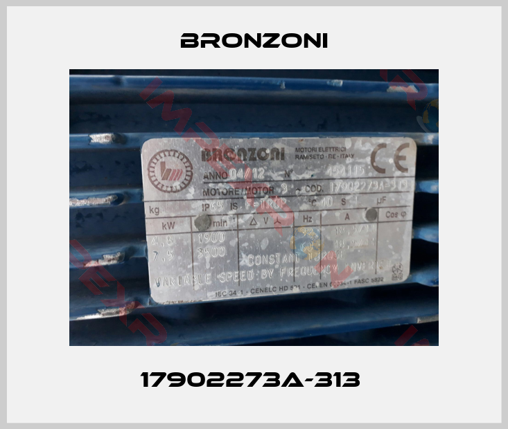 Bronzoni-17902273A-313 
