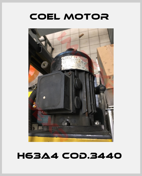 Coel-H63A4 cod.3440 