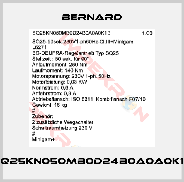 Bernard-SQ25KN050MB0D24B0A0A0K1B