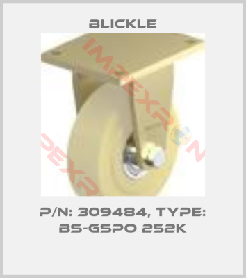 Blickle-P/N: 309484, Type: BS-GSPO 252K