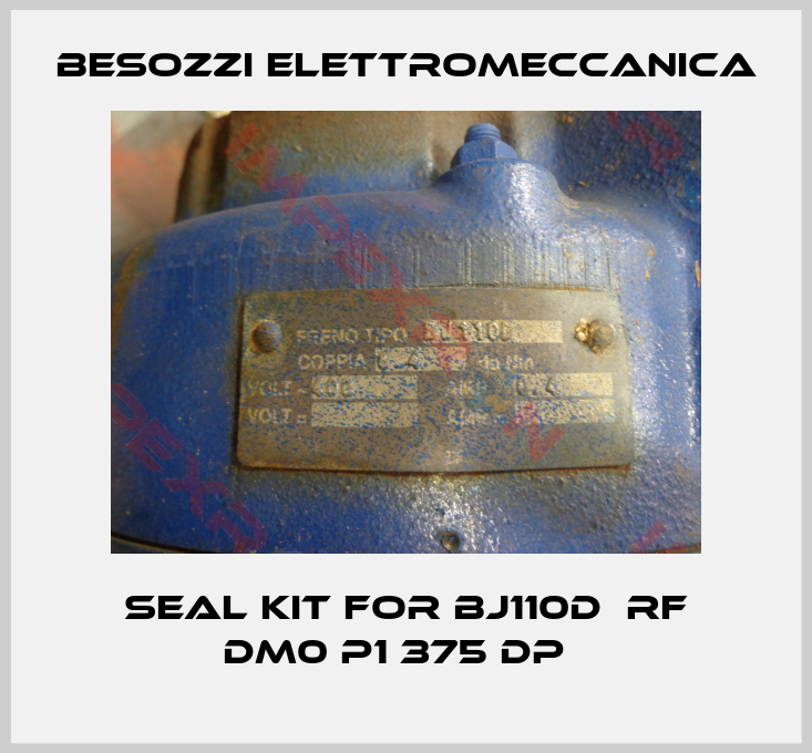 Besozzi Elettromeccanica-seal kit for BJ110D  RF DM0 P1 375 DP  
