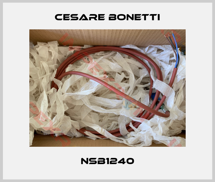 Cesare Bonetti-NSB1240