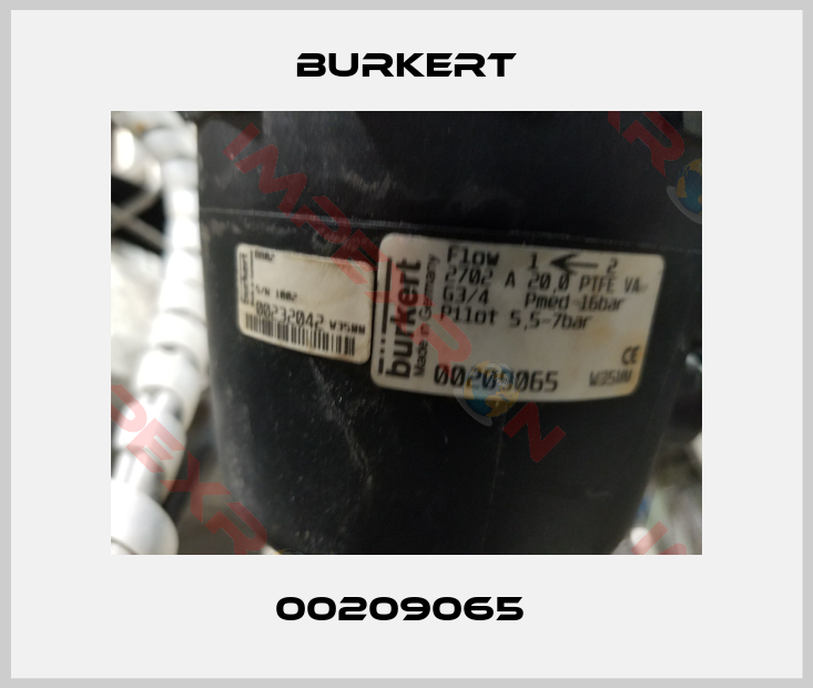 Burkert-00209065 