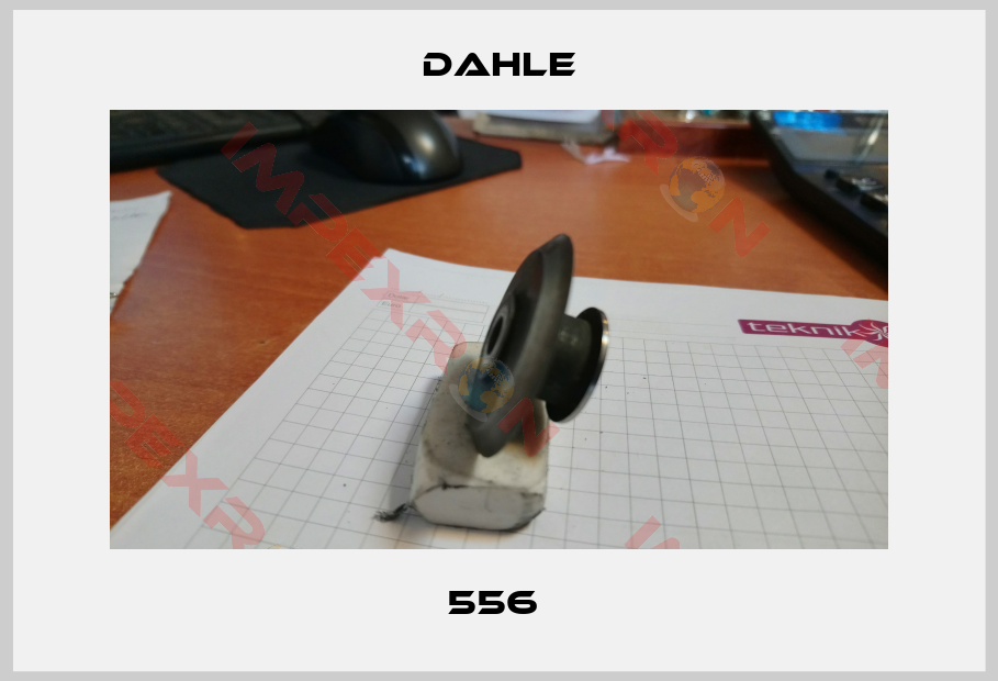 Dahle-556 