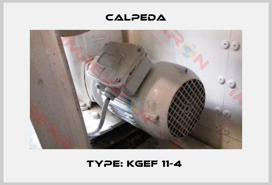 Calpeda-type: KGEF 11-4 