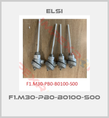 Elsi-F1.M30-PB0-B0100-S00