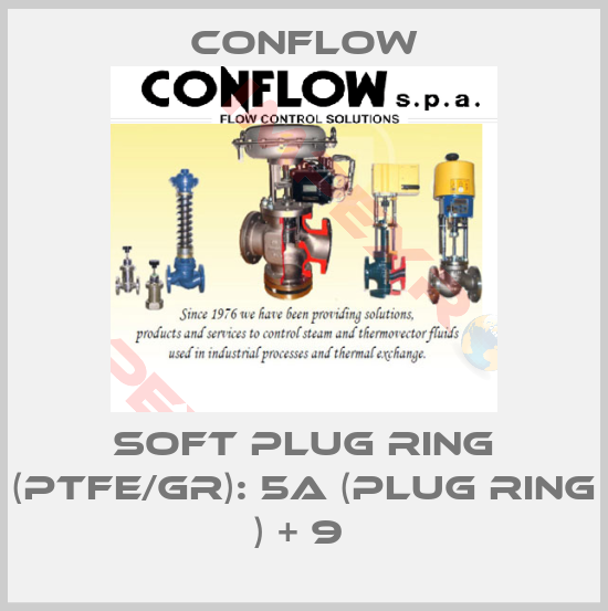 CONFLOW-SOFT PLUG RING (PTFE/GR): 5a (PLUG RING ) + 9 