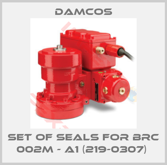 Damcos-SET OF SEALS FOR BRC 002M - A1 (219-0307) 