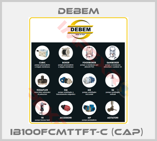 Debem-IB100FCMTTFT-C (cap) 