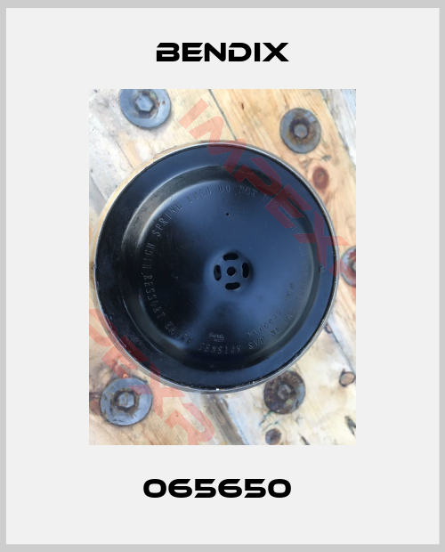 Bendix-065650 
