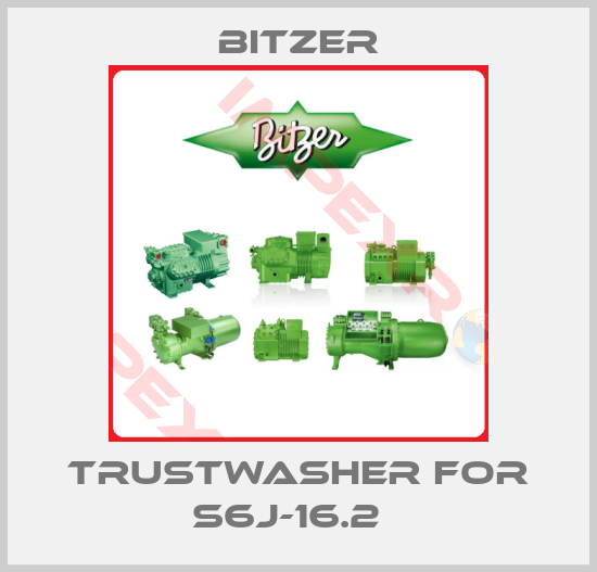 Bitzer-TRUSTWASHER FOR S6J-16.2  