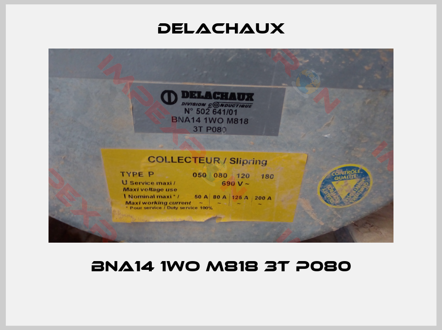 Delachaux-BNA14 1WO M818 3T P080 