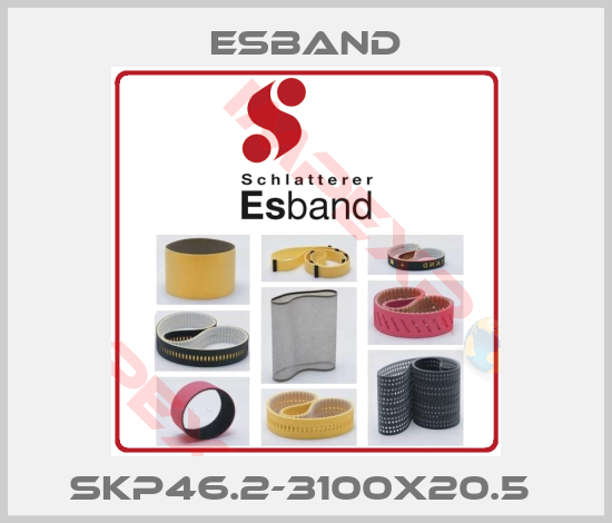 Esband-SKP46.2-3100X20.5 