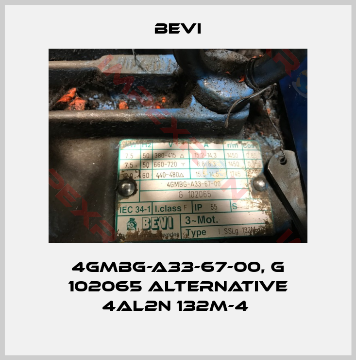 Bevi-4GMBG-A33-67-00, G 102065 alternative 4AL2n 132M-4 