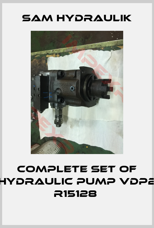 Brevini-complete set of hydraulic pump VDP2 R15128 