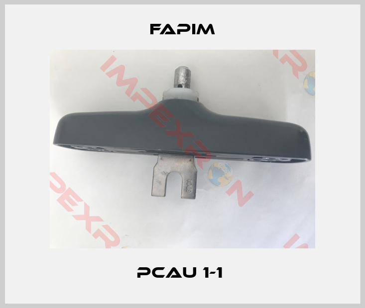 Fapim-PCAU 1-1 