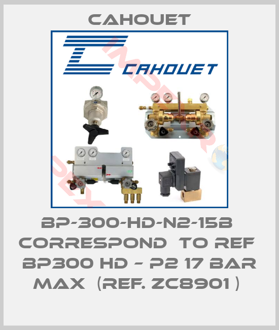 Cahouet-BP-300-HD-N2-15B  correspond  to ref  BP300 HD – P2 17 bar max  (ref. ZC8901 ) 