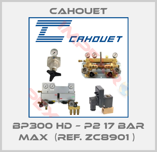 Cahouet- BP300 HD – P2 17 bar max  (ref. ZC8901 ) 