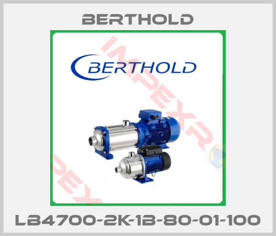 Berthold-LB4700-2K-1B-80-01-100