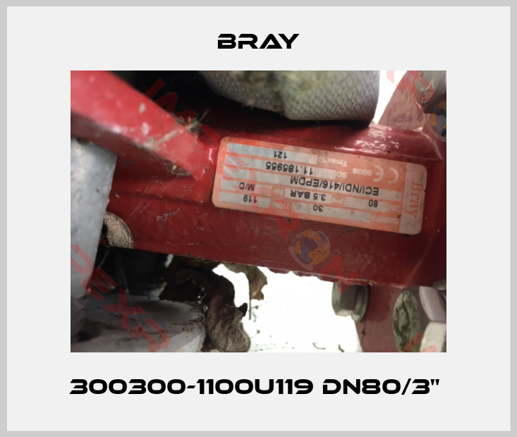 Bray-300300-1100U119 DN80/3" 