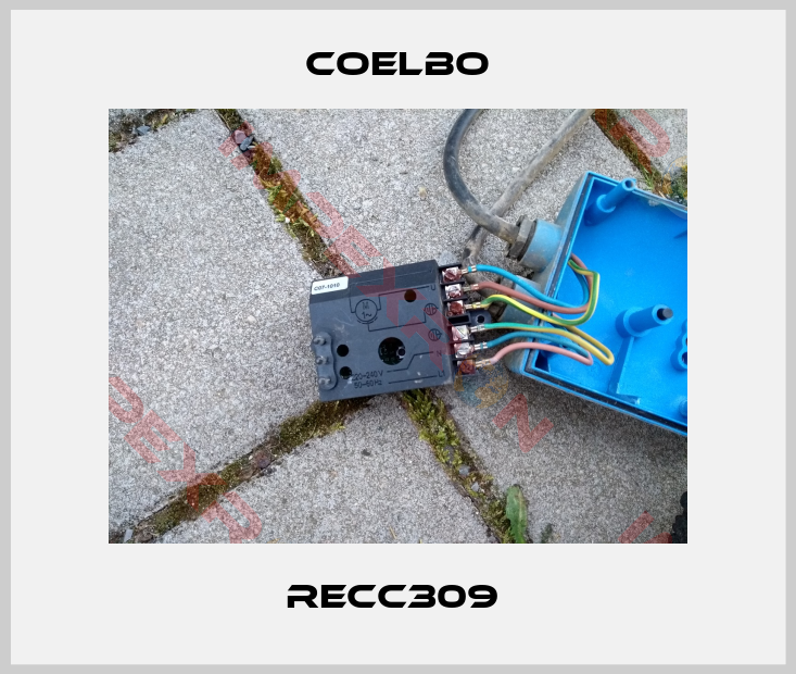 COELBO-RECC309 