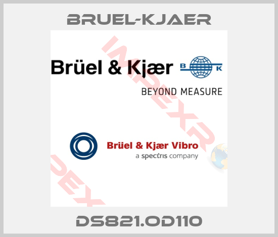 Bruel-Kjaer-ds821.od110