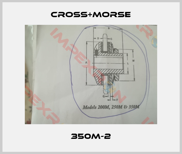 Cross+Morse-350M-2