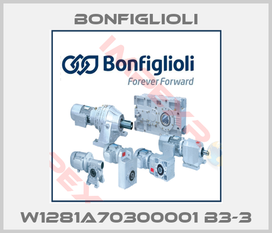 Bonfiglioli-W1281A70300001 B3-3