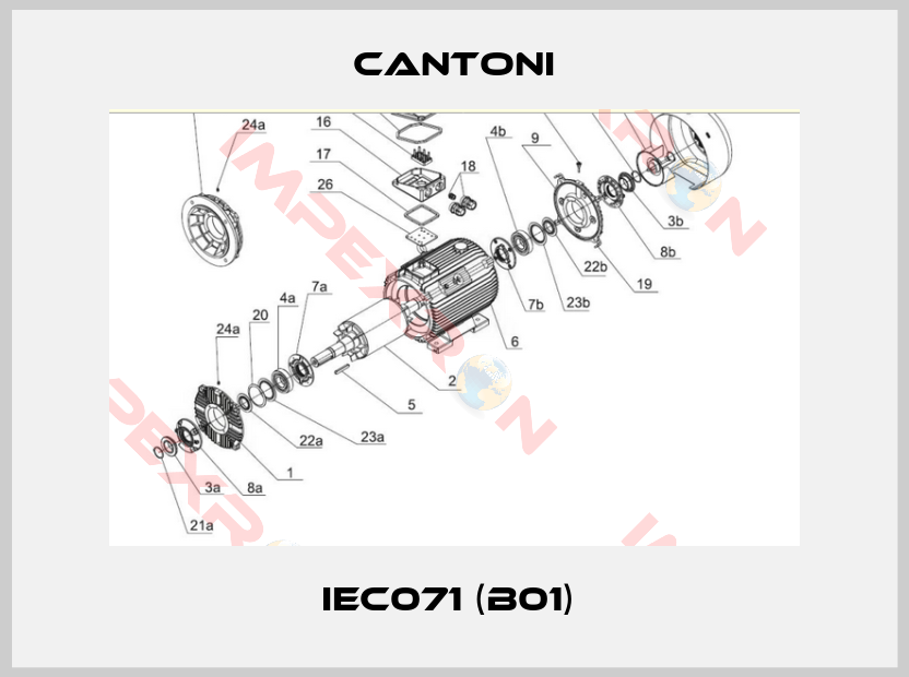 Cantoni-IEC071 (B01) 