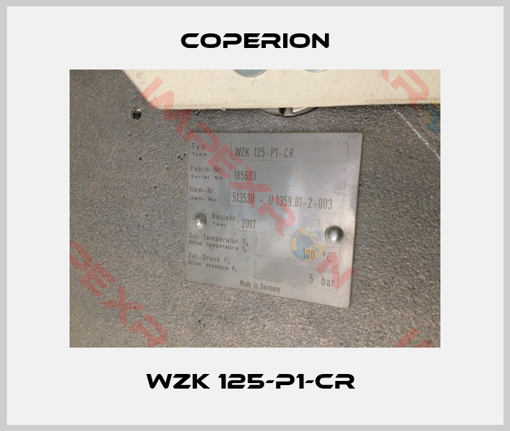 Coperion-WZK 125-P1-CR 