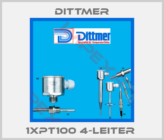 Dittmer-1xPT100 4-Leiter 