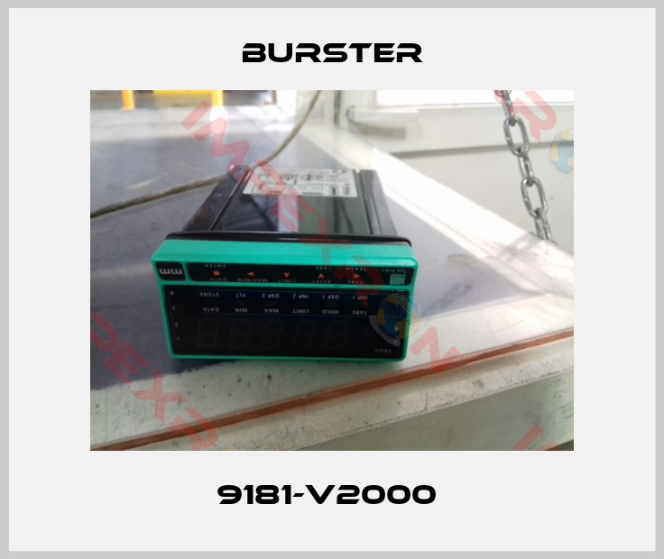 Burster-9181-V2000 