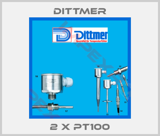Dittmer-2 x PT100