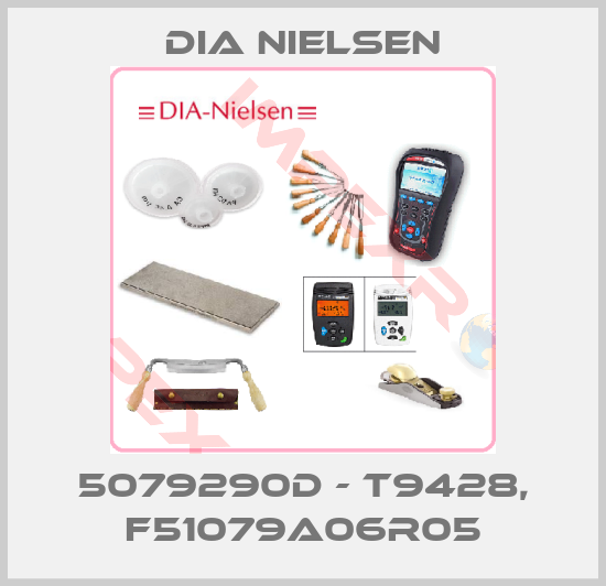 Dia Nielsen-5079290D - T9428, F51079A06R05