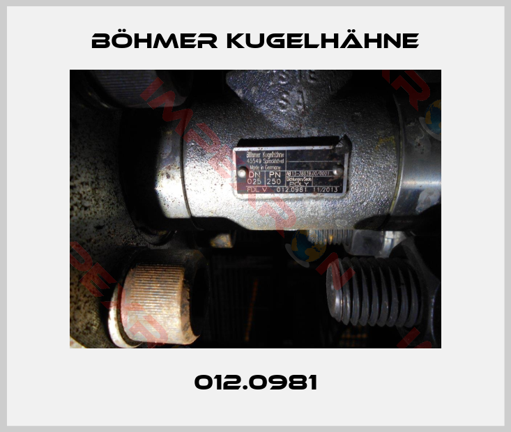 Böhmer-012.0981