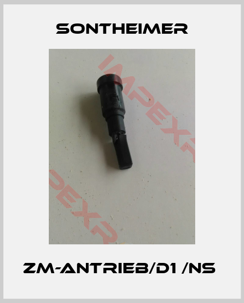 Sontheimer-ZM-Antrieb/D1 /NS 