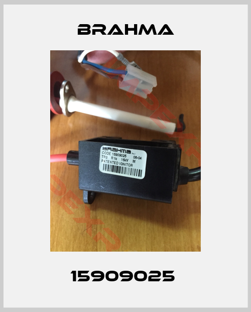 Brahma-15909025 