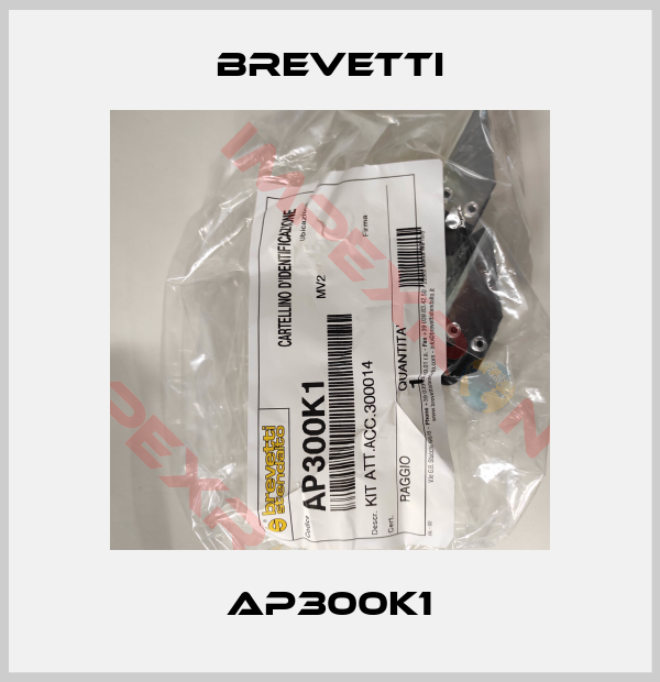 Brevetti-AP300K1