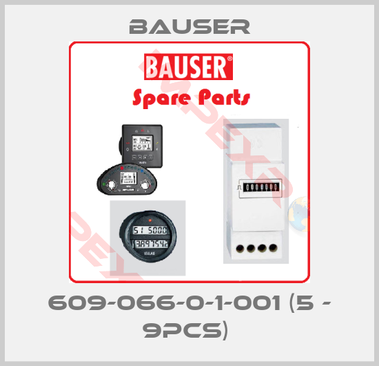 Bauser-609-066-0-1-001 (5 - 9pcs) 