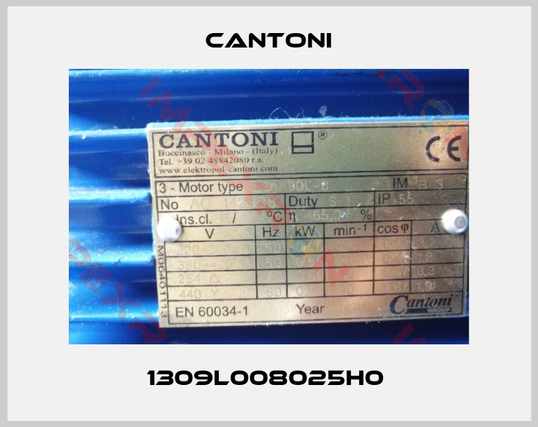 Cantoni-1309L008025H0 