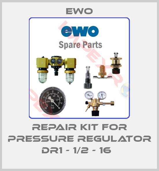 Ewo-Repair Kit for pressure regulator DR1 - 1/2 - 16  
