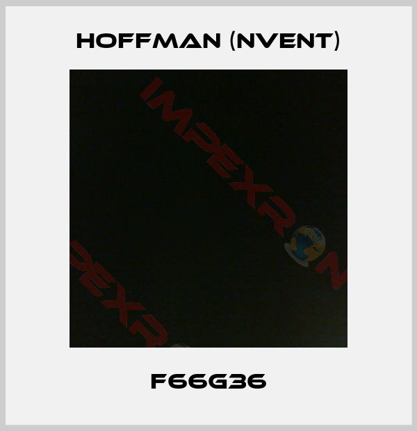Hoffman (nVent)-F66G36