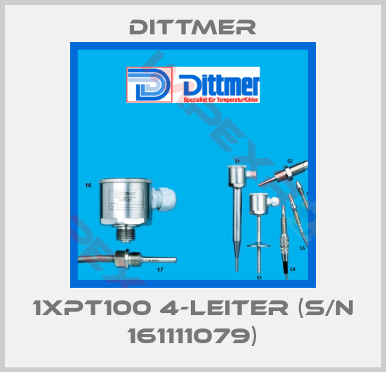 Dittmer-1xPT100 4-Leiter (S/N 161111079)