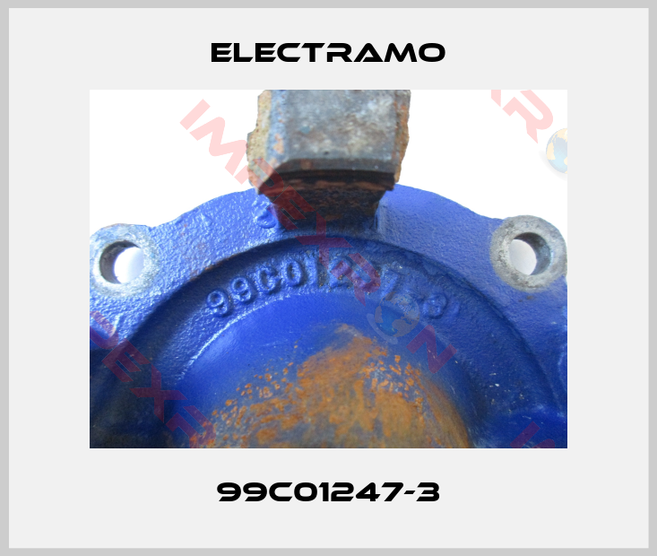Electramo-99C01247-3