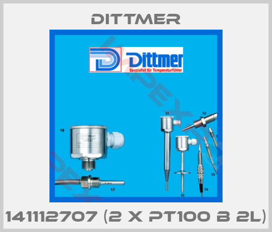 Dittmer-141112707 (2 x PT100 B 2L)