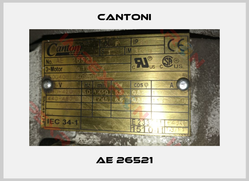 Cantoni-AE 26521