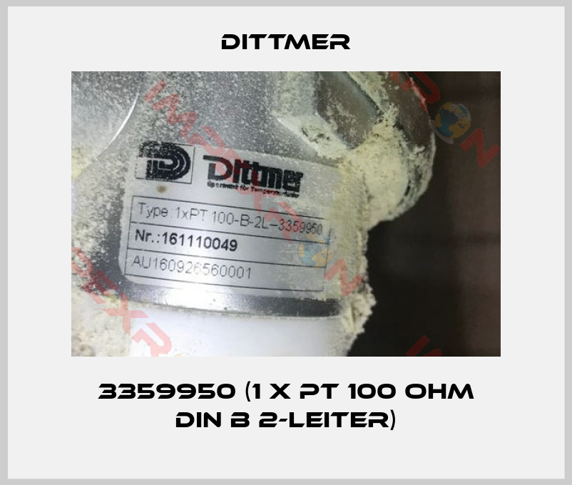 Dittmer-3359950 (1 x PT 100 Ohm DIN B 2-Leiter)