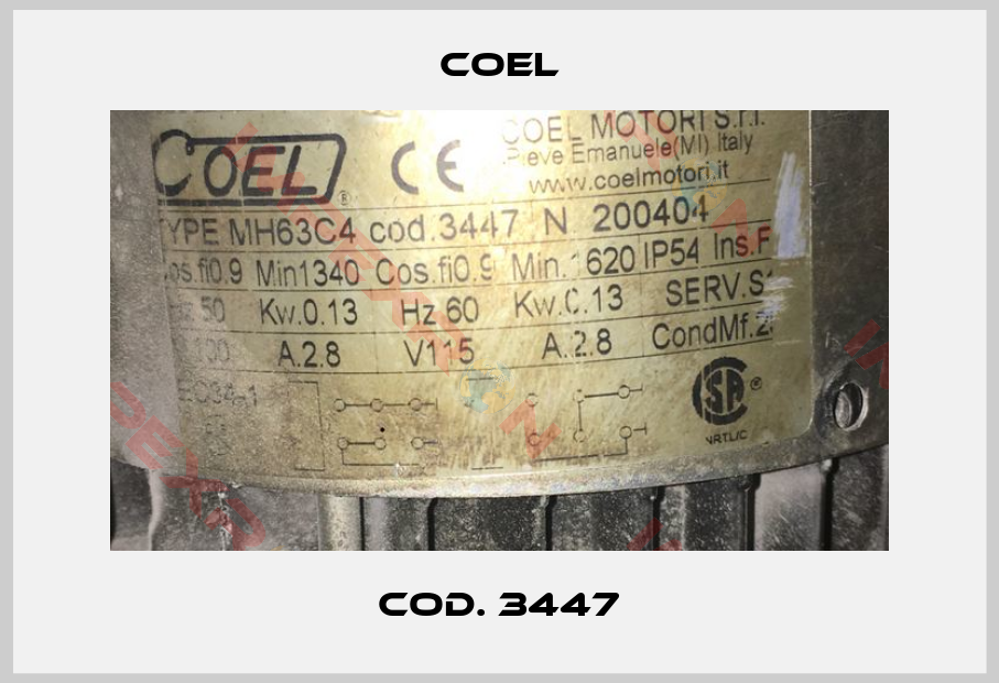 Coel-Cod. 3447